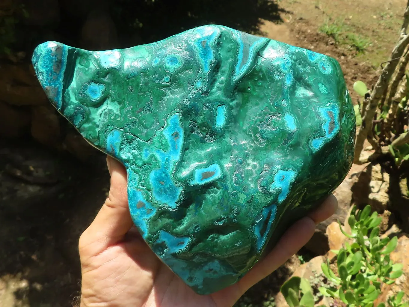 Polished Malacholla (Malachite & Chrysocolla) Free Form  x 1 From Kulukuluku, Congo