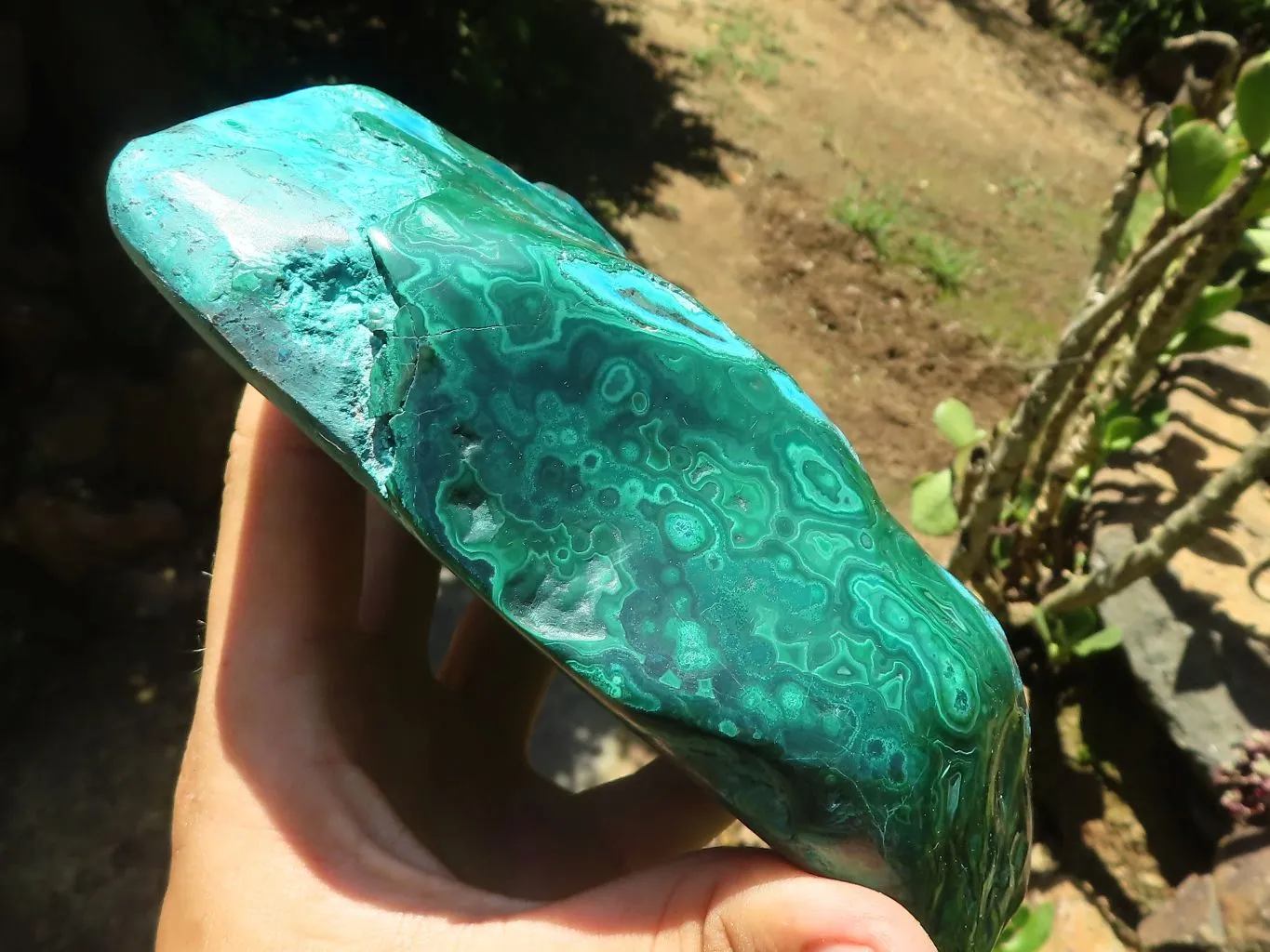 Polished Malacholla (Malachite & Chrysocolla) Free Form  x 1 From Kulukuluku, Congo