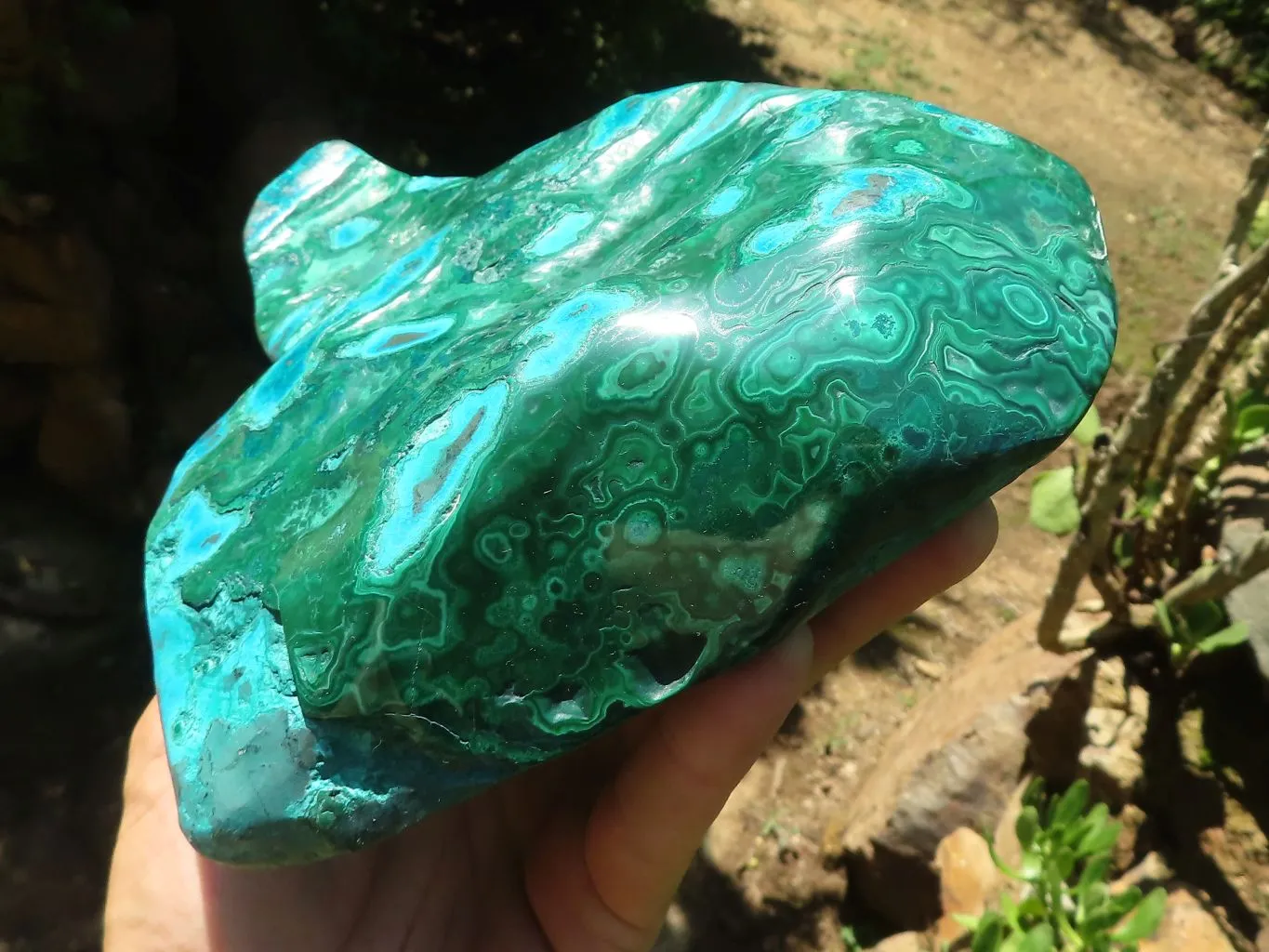 Polished Malacholla (Malachite & Chrysocolla) Free Form  x 1 From Kulukuluku, Congo