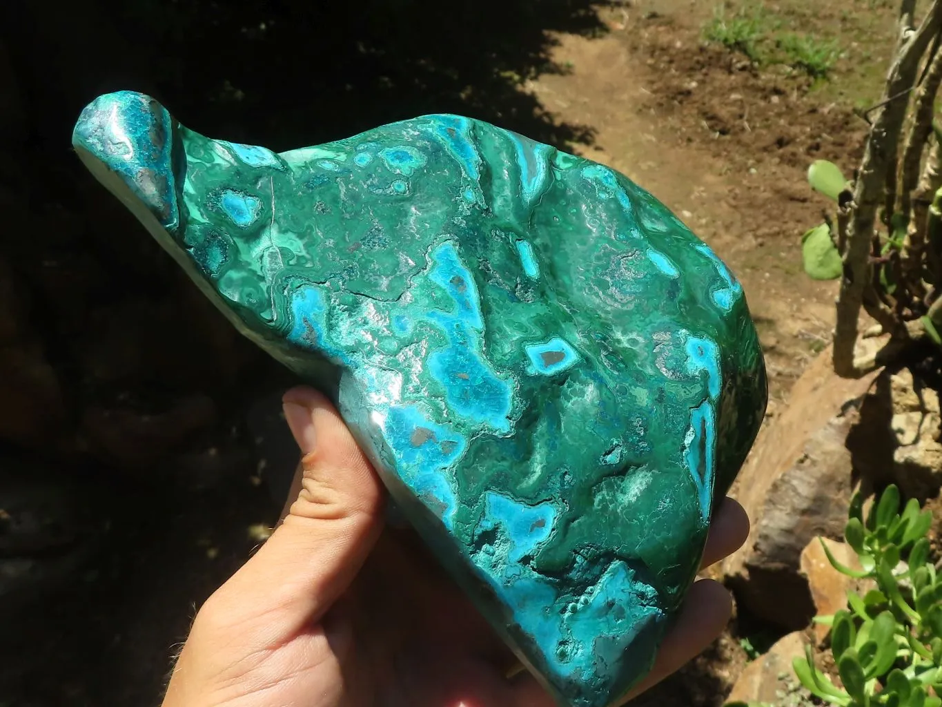 Polished Malacholla (Malachite & Chrysocolla) Free Form  x 1 From Kulukuluku, Congo