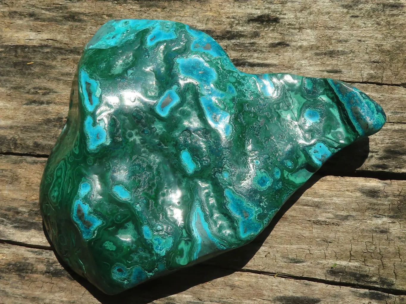 Polished Malacholla (Malachite & Chrysocolla) Free Form  x 1 From Kulukuluku, Congo