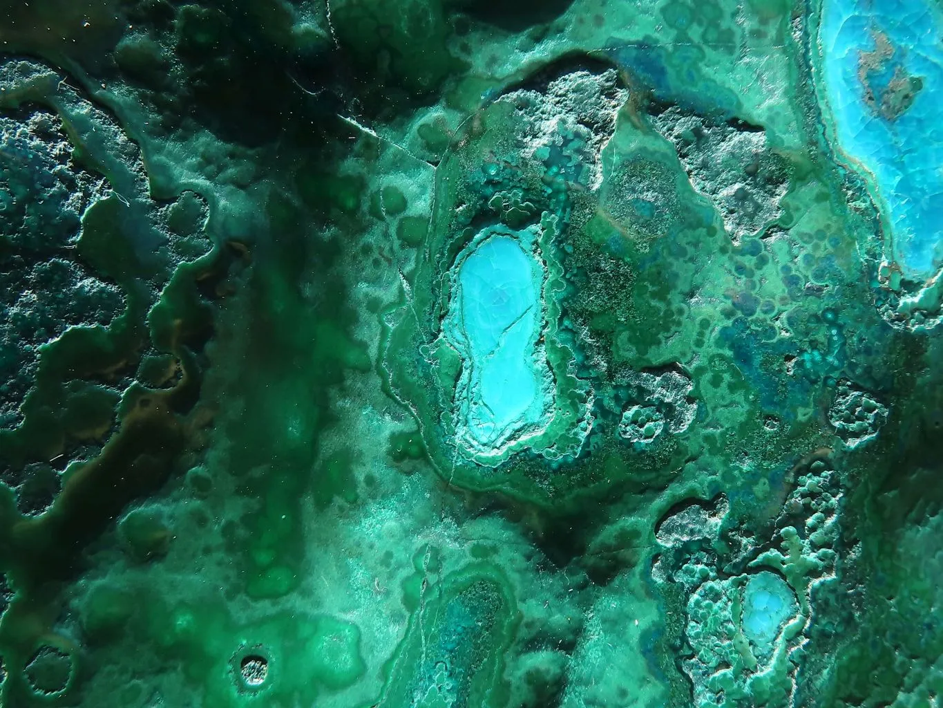 Polished Malacholla (Malachite & Chrysocolla) Free Form  x 1 From Kulukuluku, Congo