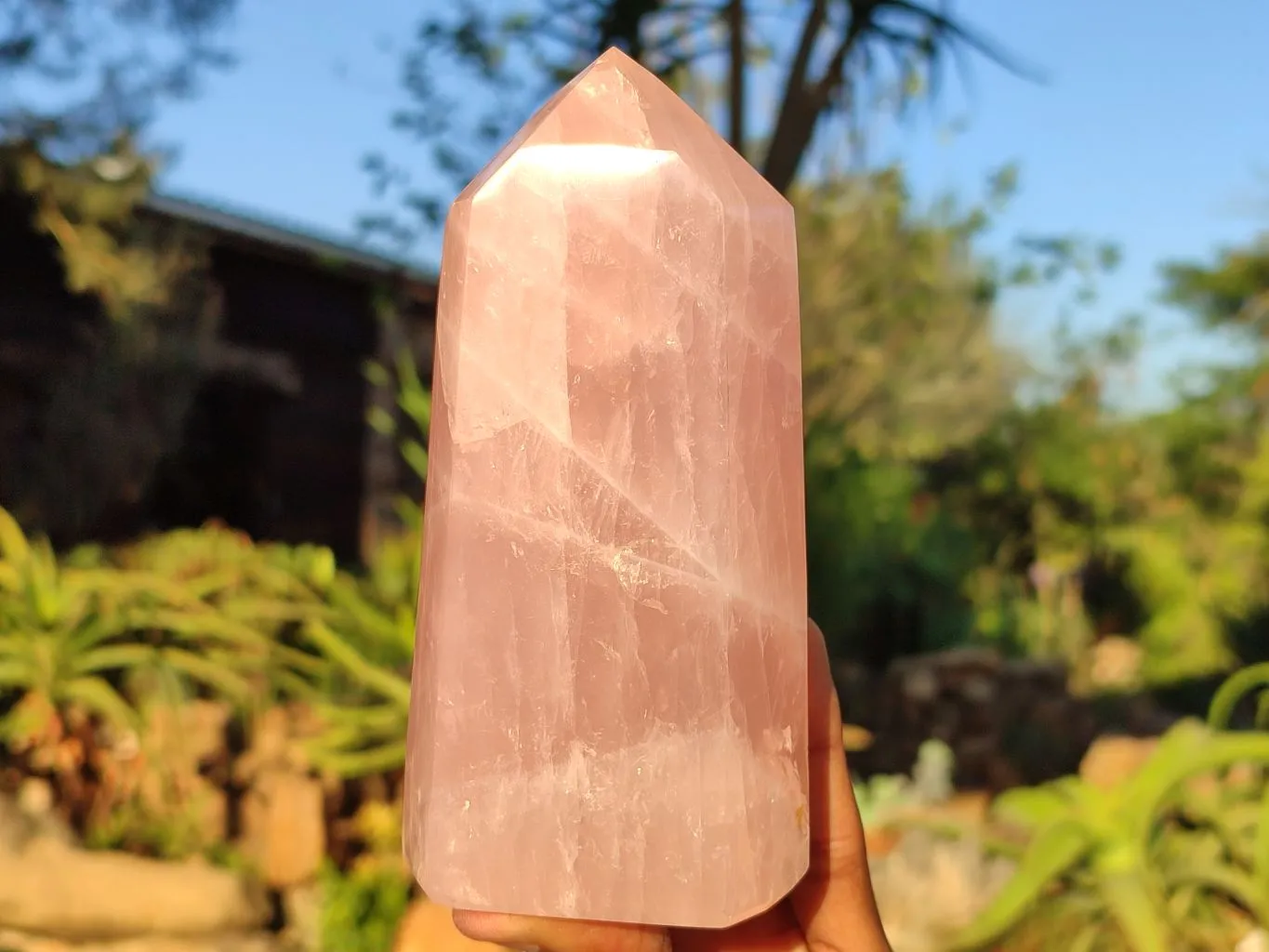 Polished Mixed Rose Quartz Items x 3 From Madagascar