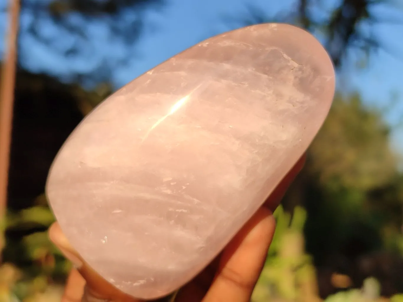 Polished Mixed Rose Quartz Items x 3 From Madagascar