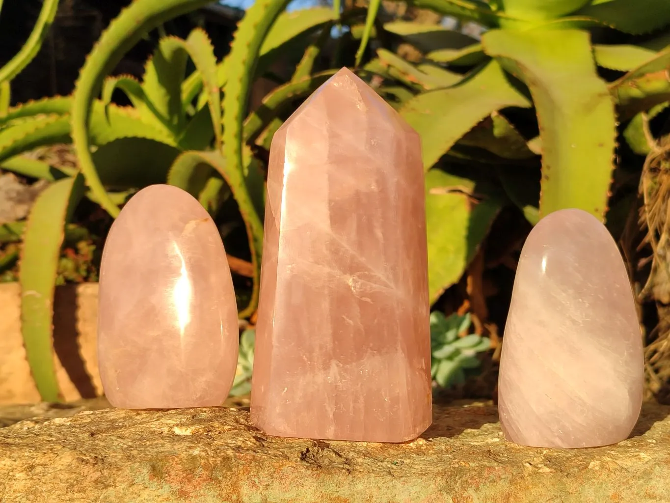 Polished Mixed Rose Quartz Items x 3 From Madagascar