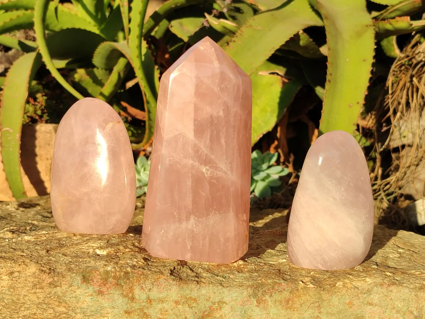 Polished Mixed Rose Quartz Items x 3 From Madagascar