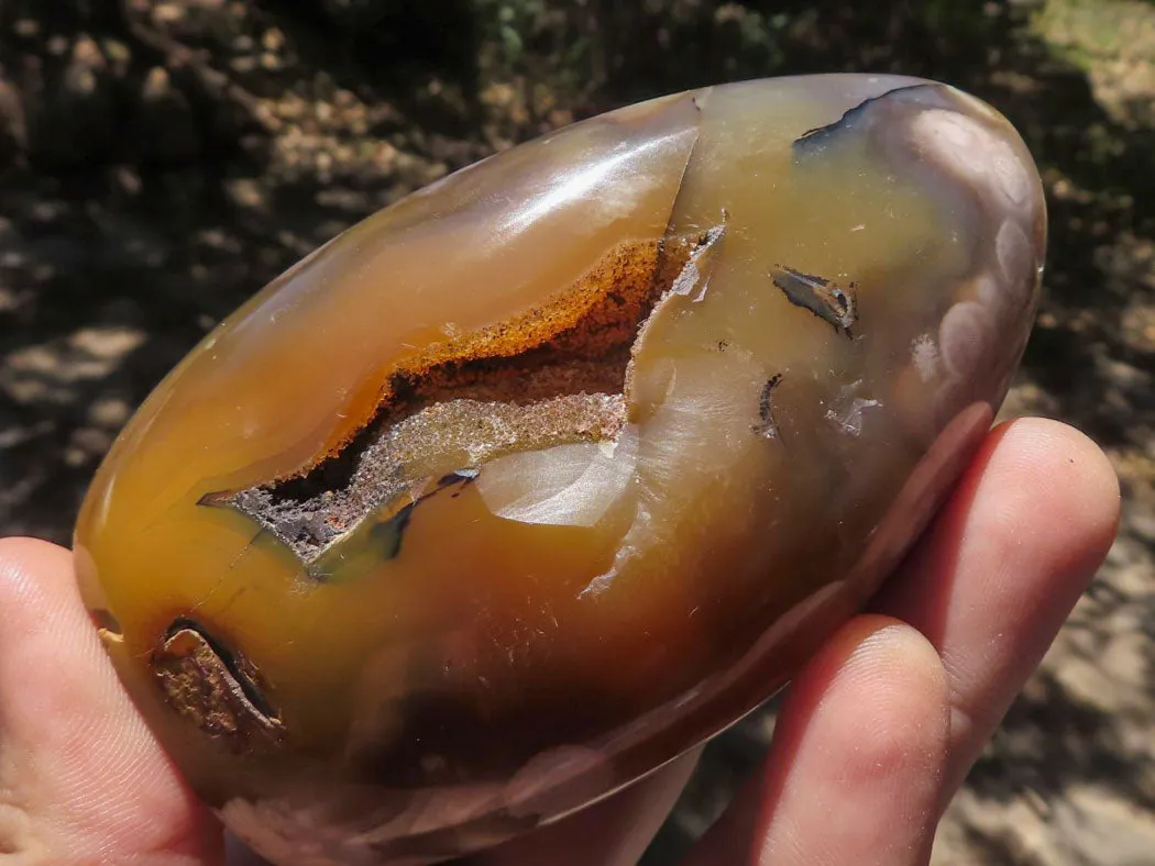 Polished Ocean  Flower Agate Standing Free Forms  x 6 From Madagascar