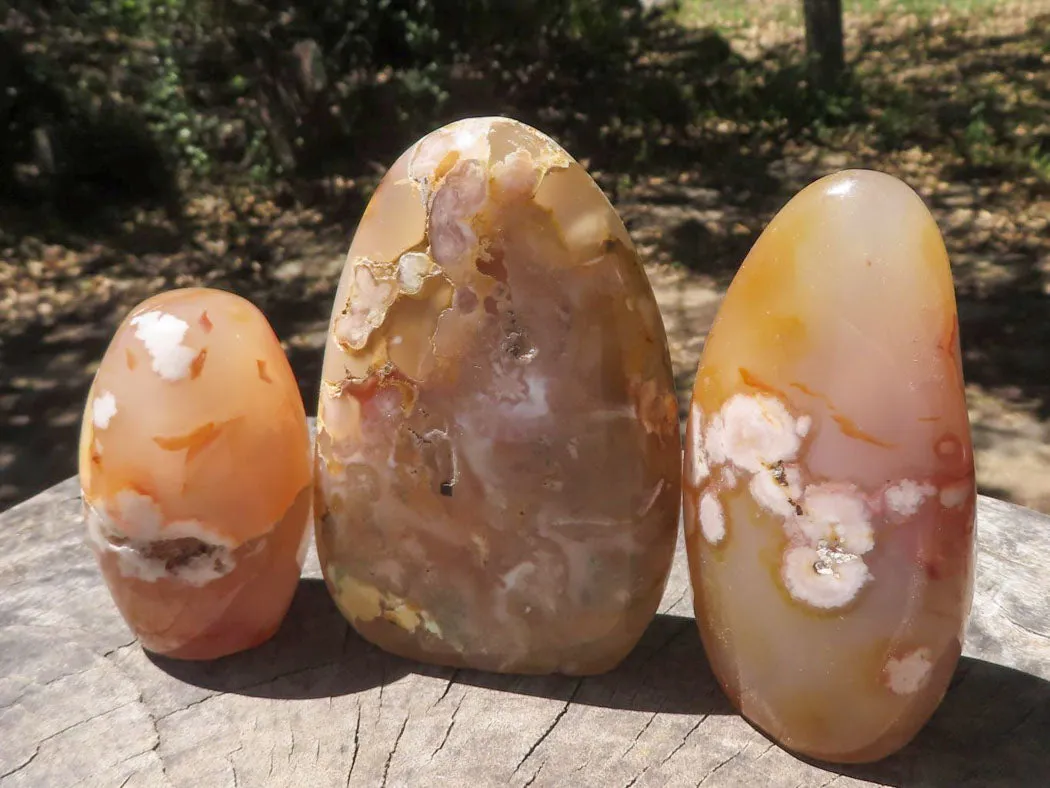 Polished Ocean  Flower Agate Standing Free Forms  x 6 From Madagascar