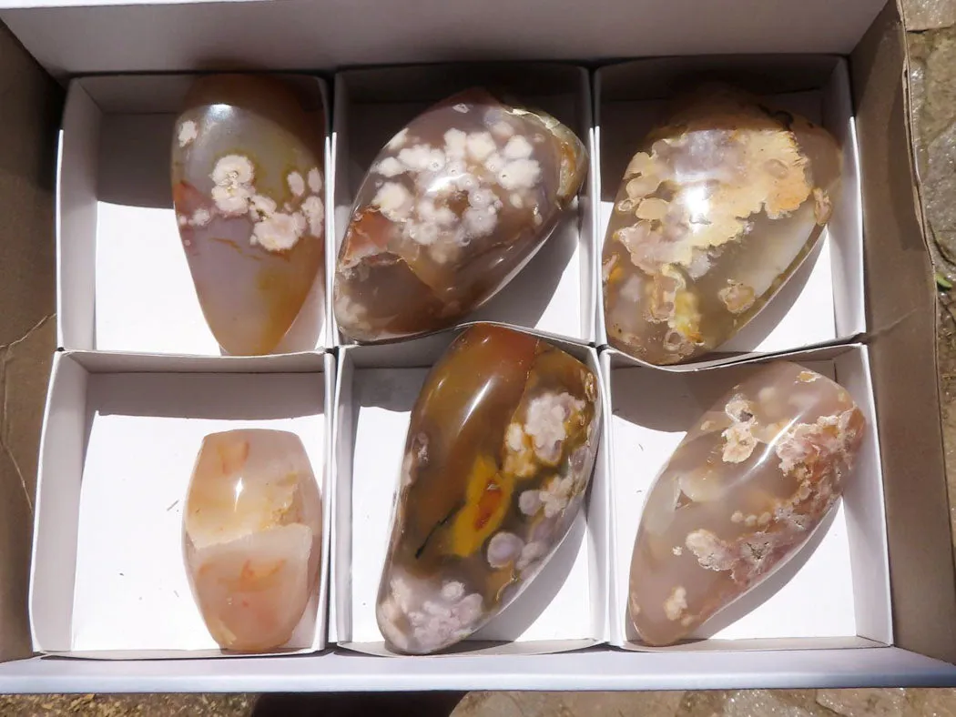 Polished Ocean  Flower Agate Standing Free Forms  x 6 From Madagascar