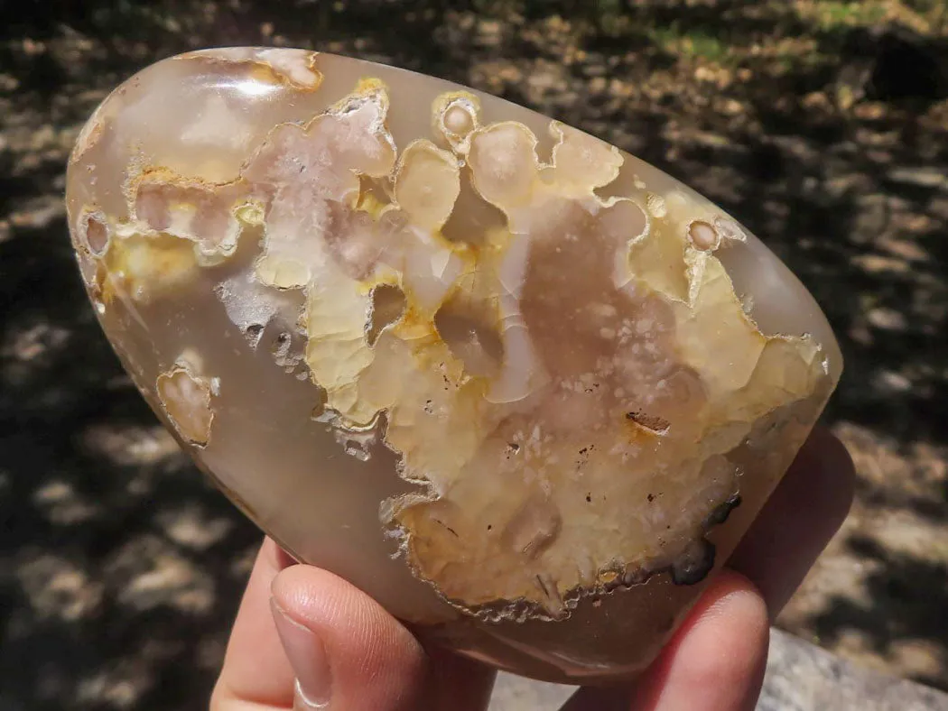 Polished Ocean  Flower Agate Standing Free Forms  x 6 From Madagascar