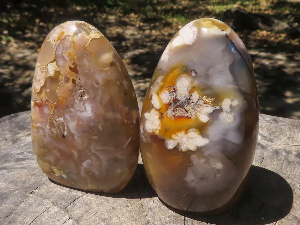 Polished Ocean  Flower Agate Standing Free Forms  x 6 From Madagascar