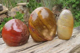 Polished Ocean Jasper Standing Free Forms x 2 From Madagascar