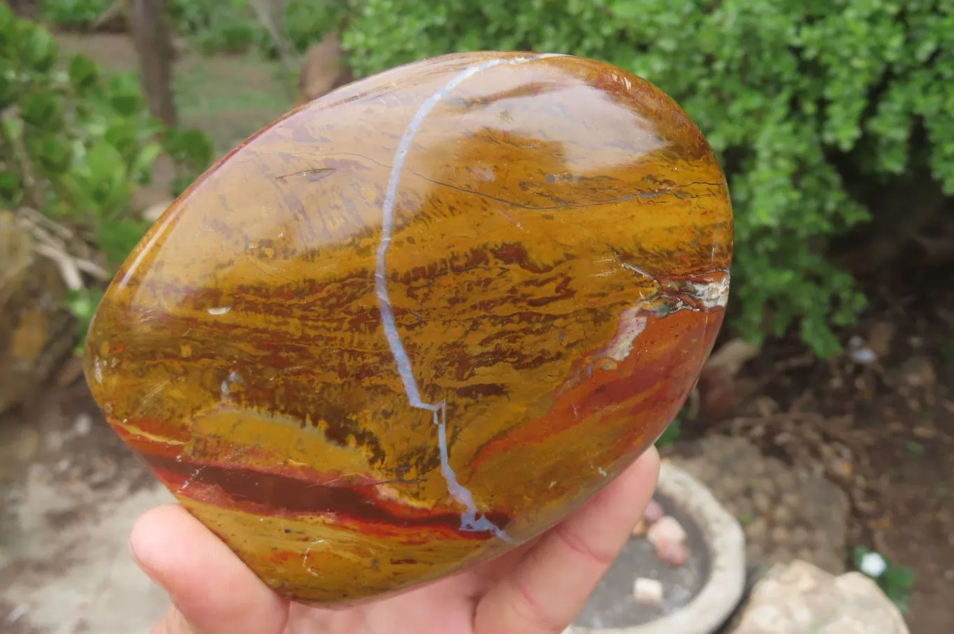 Polished Ocean Jasper Standing Free Forms x 2 From Madagascar