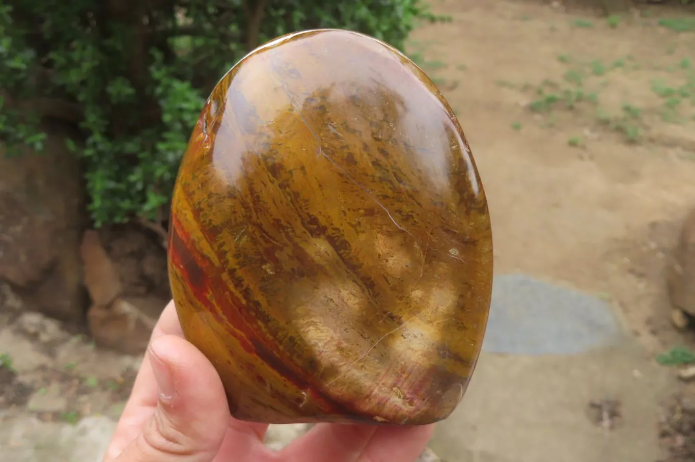 Polished Ocean Jasper Standing Free Forms x 2 From Madagascar