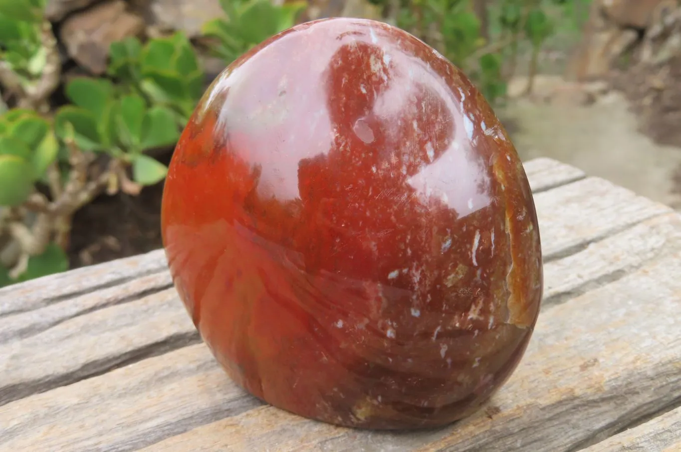 Polished Ocean Jasper Standing Free Forms x 2 From Madagascar