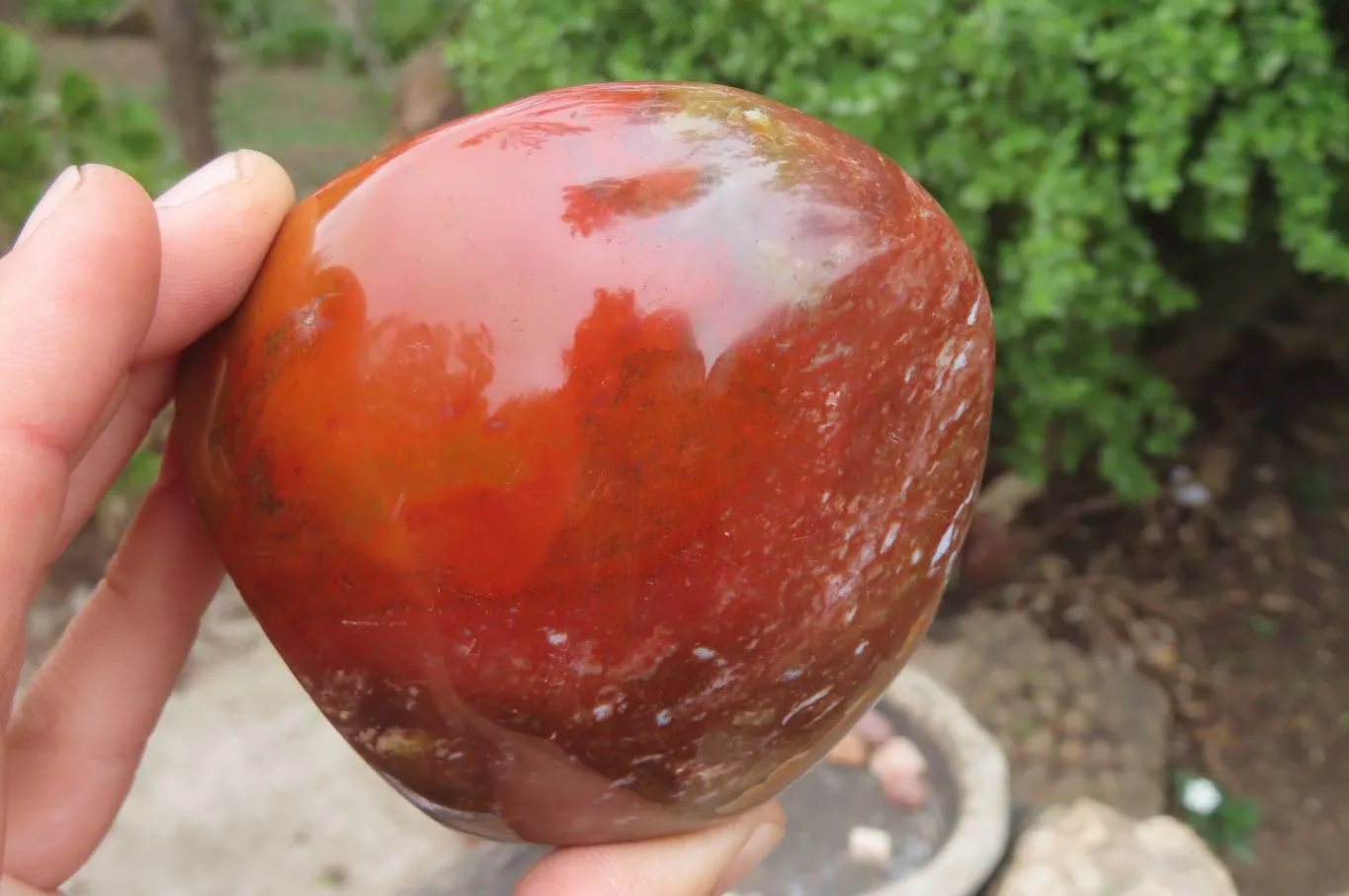 Polished Ocean Jasper Standing Free Forms x 2 From Madagascar