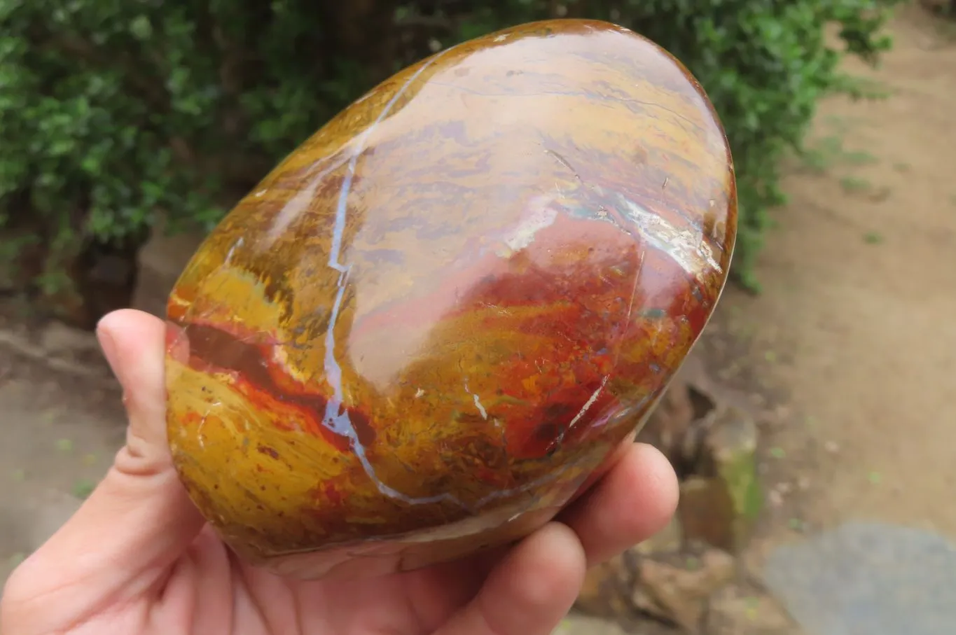 Polished Ocean Jasper Standing Free Forms x 2 From Madagascar