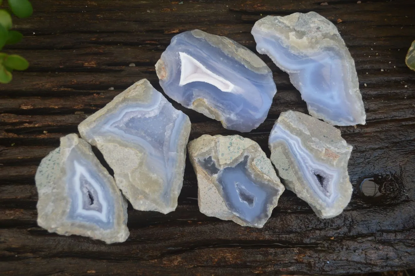 Polished One Side Blue Lace Agate Geode Specimens x 6 From Nsanje, Malawi