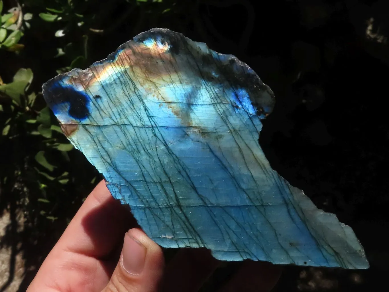 Polished One Side Polished Labradorite Slabs  x 6 From Madagascar