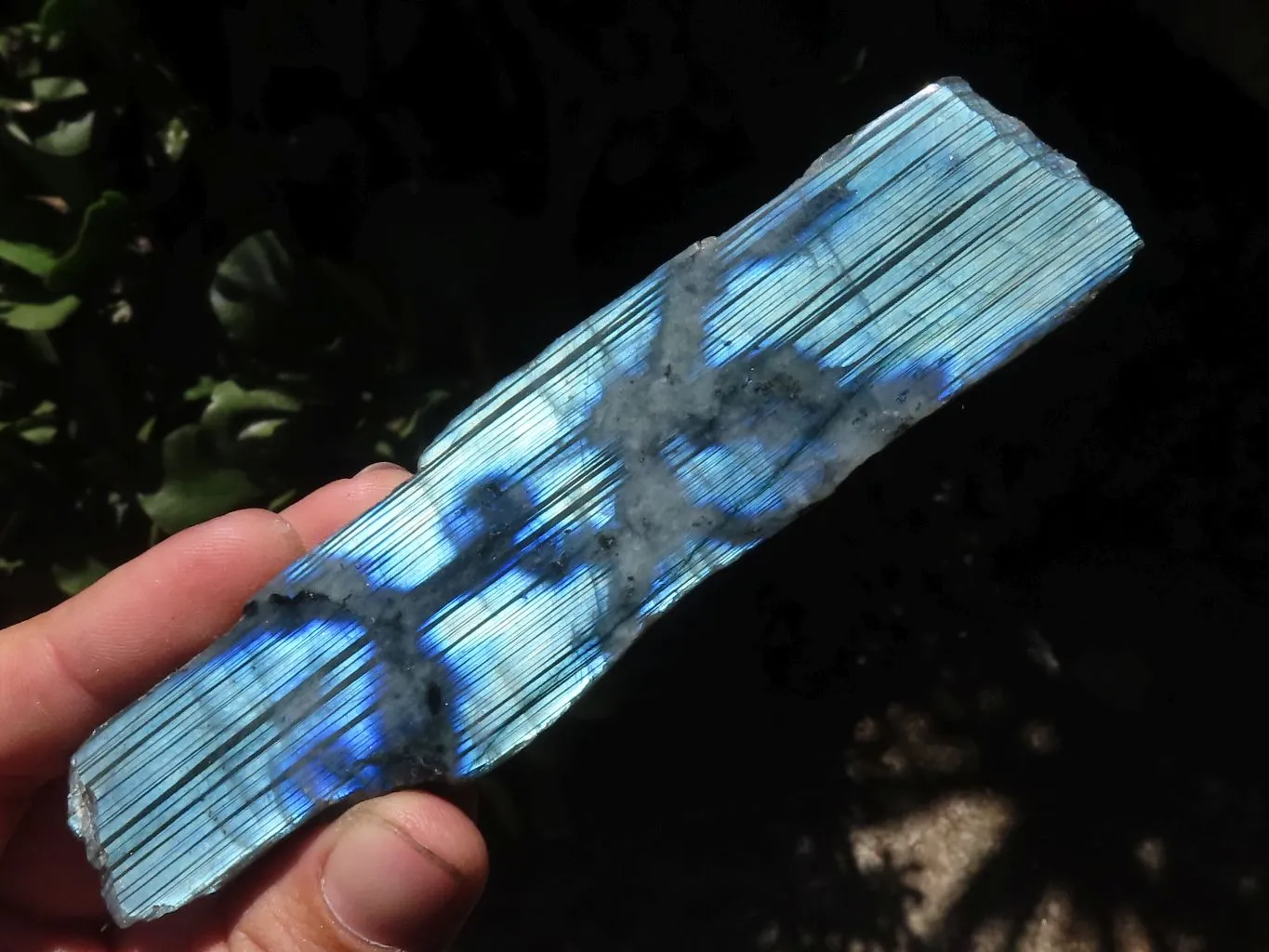 Polished One Side Polished Labradorite Slabs  x 6 From Madagascar