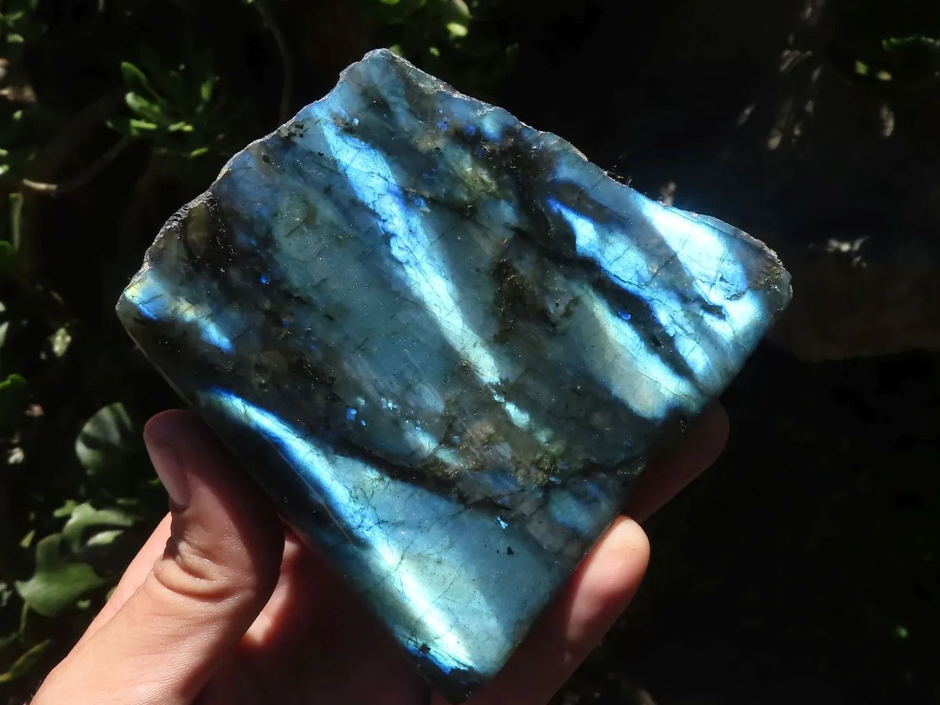 Polished One Side Polished Labradorite Slabs  x 6 From Madagascar