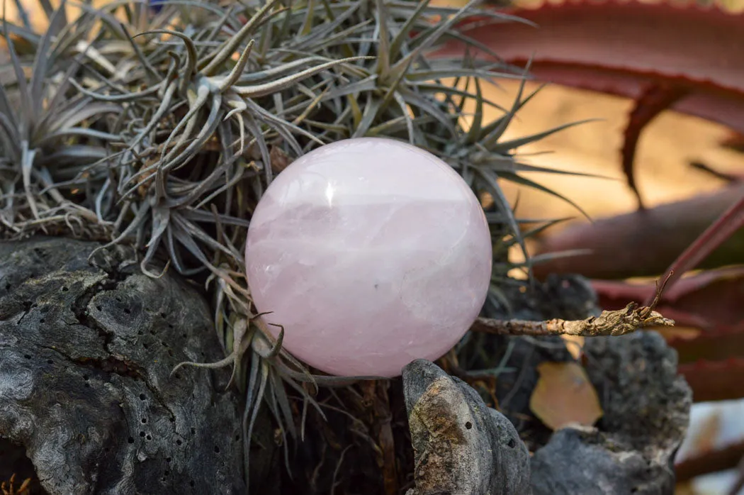 Polished Pink Rose Quartz Spheres x 6 From Ambatondrazaka, Madagascar