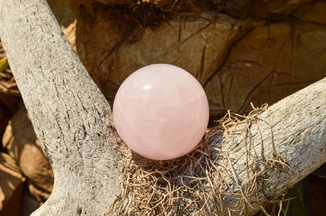 Polished Pink Rose Quartz Spheres x 6 From Ambatondrazaka, Madagascar