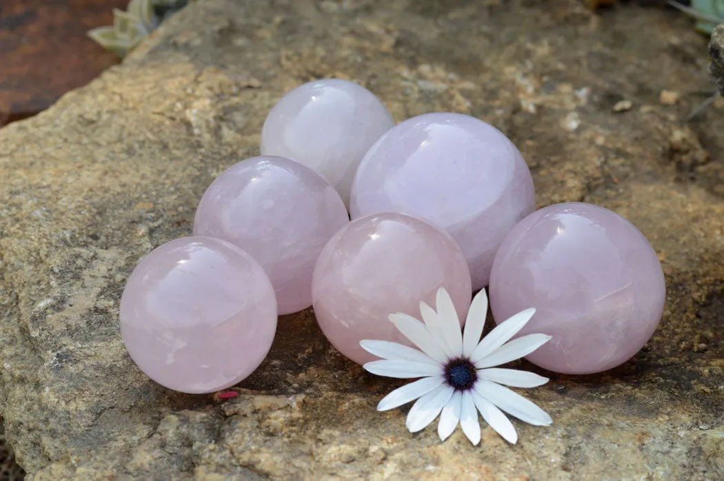 Polished Pink Rose Quartz Spheres x 6 From Ambatondrazaka, Madagascar