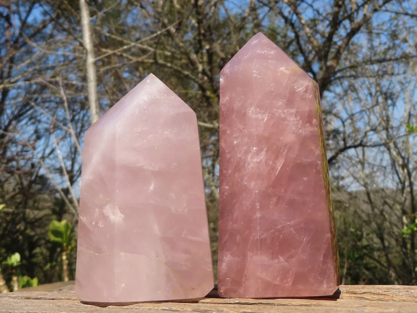 Polished Pink Rose Quartz Standing Free Forms x 2 From Antsirabe, Madagascar