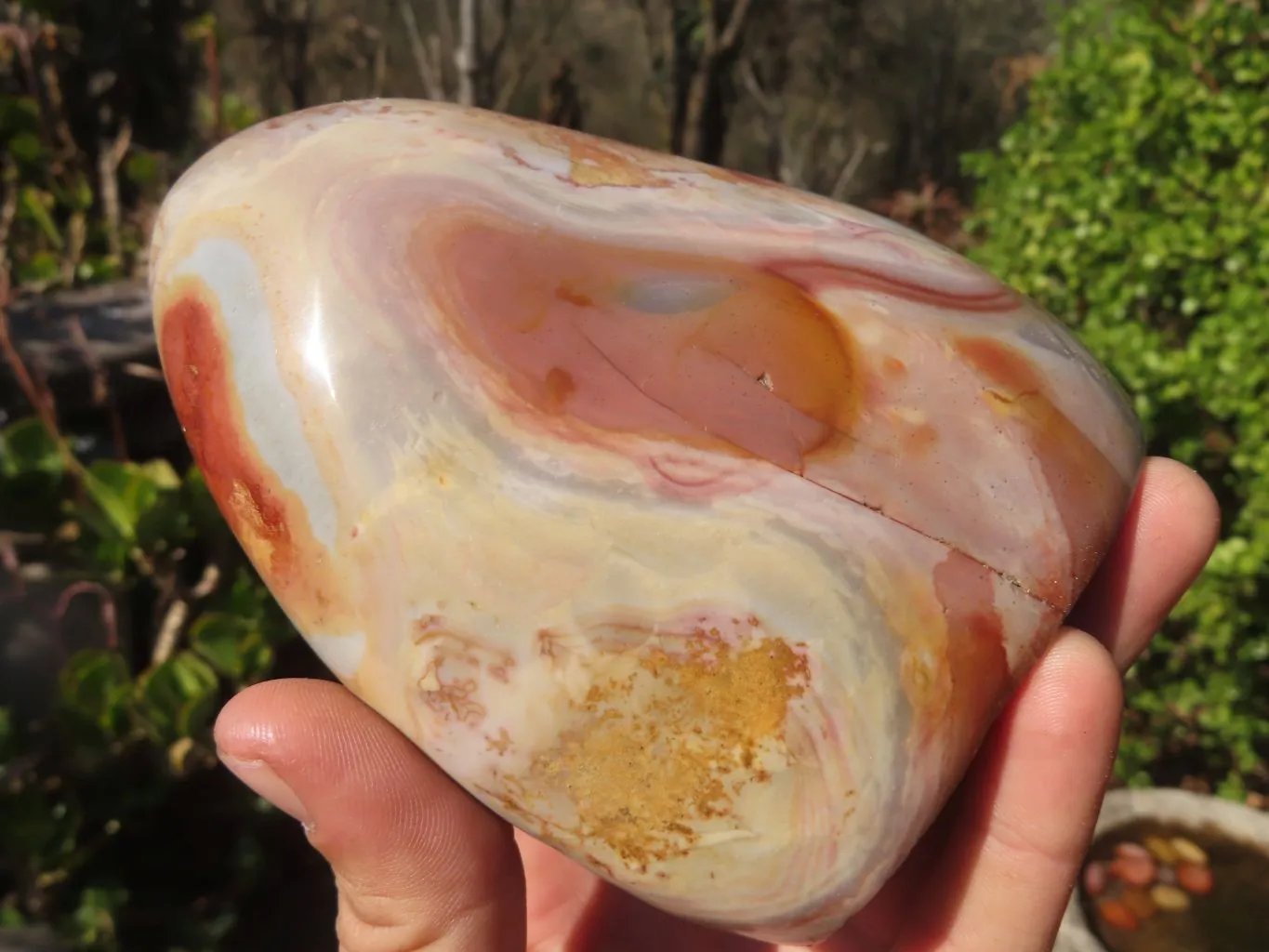 Polished Polychrome Jasper Standing Free Forms  x 2 From Mahajanga, Madagascar