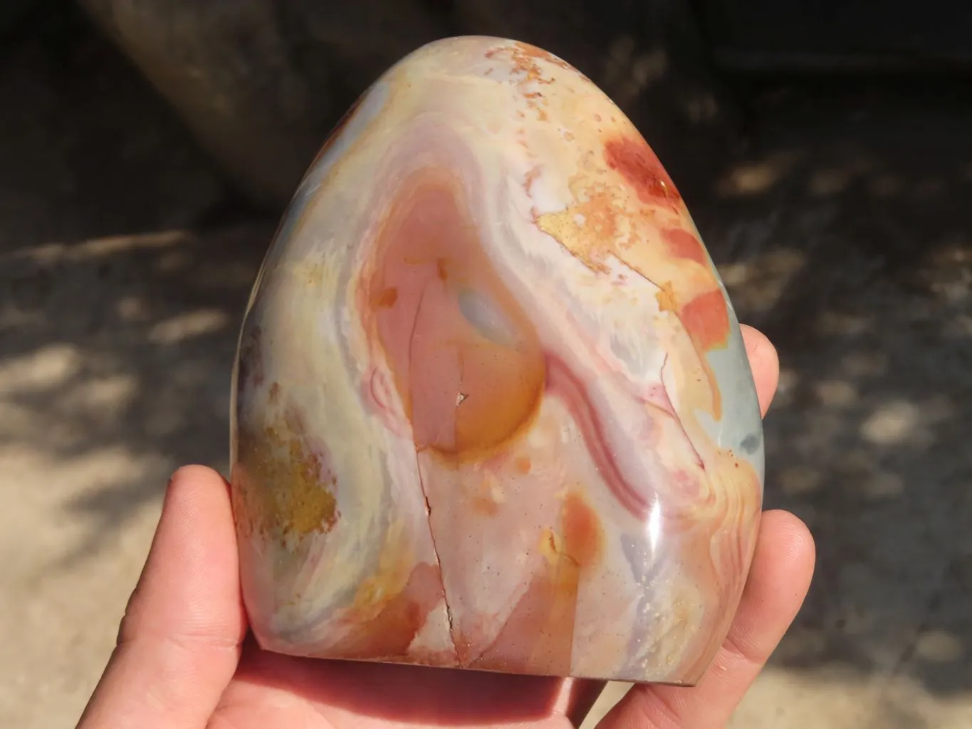 Polished Polychrome Jasper Standing Free Forms  x 2 From Mahajanga, Madagascar