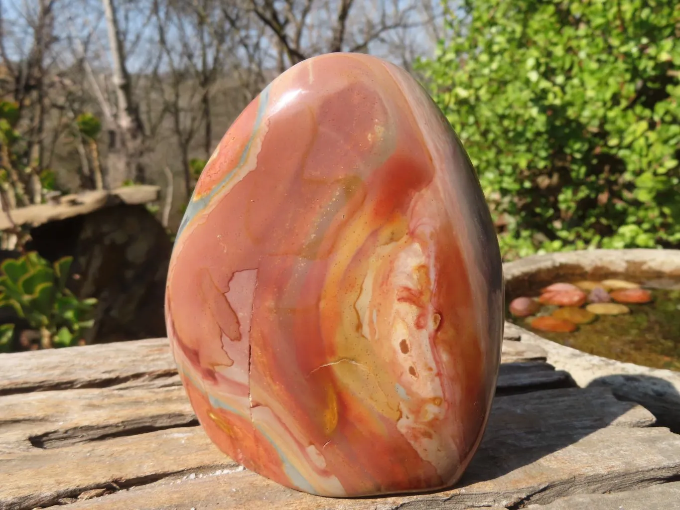 Polished Polychrome Jasper Standing Free Forms  x 2 From Mahajanga, Madagascar