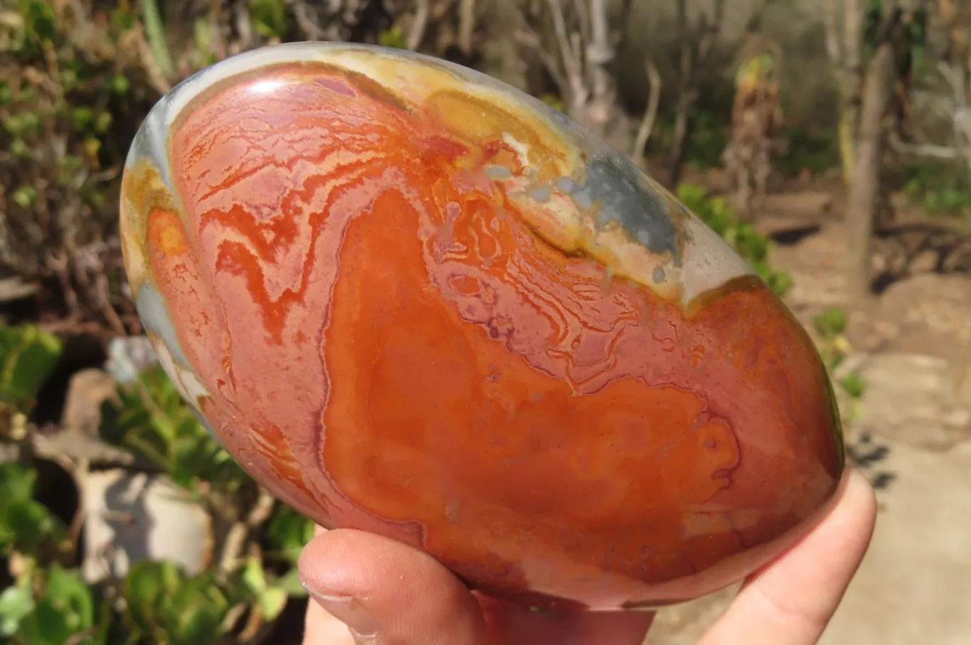 Polished Polychrome Jasper Standing Free Forms x 3 From Mahajanga, Madagascar