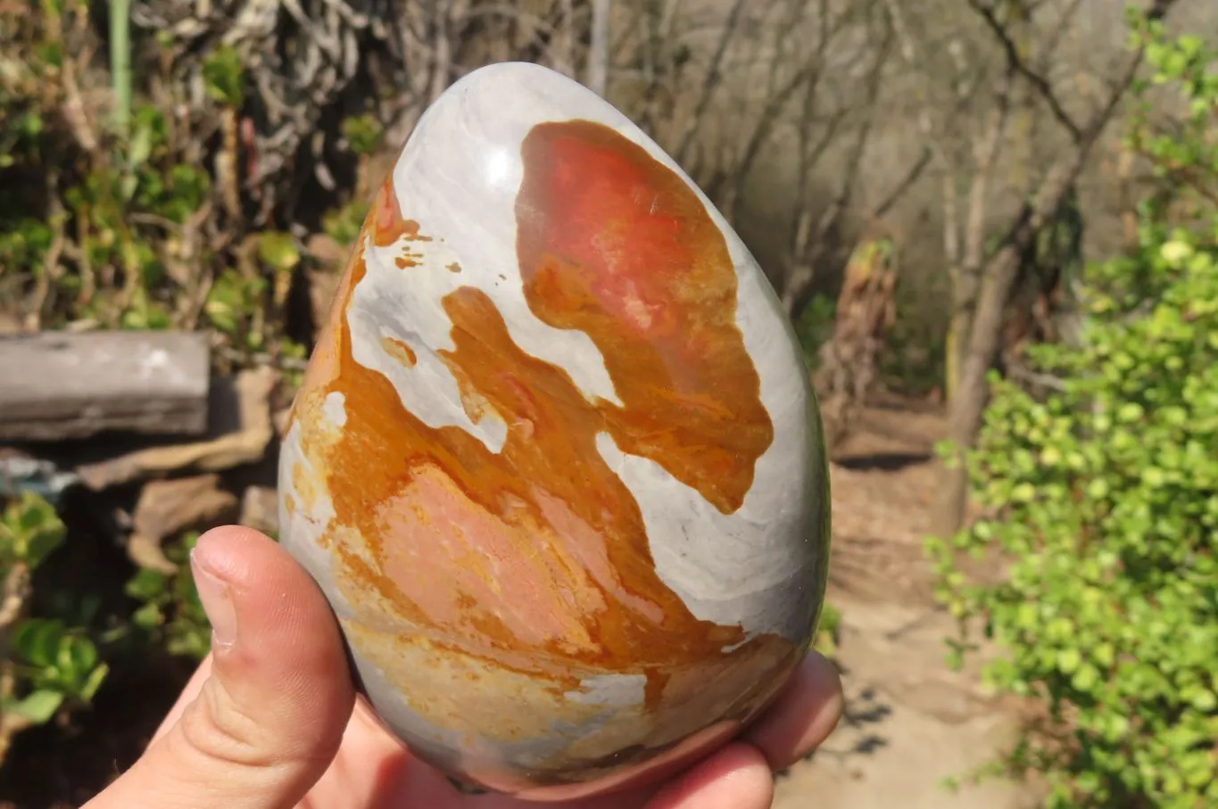 Polished Polychrome Jasper Standing Free Forms x 3 From Mahajanga, Madagascar