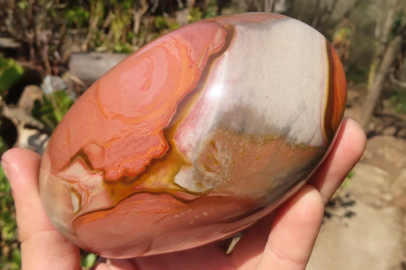 Polished Polychrome Jasper Standing Free Forms x 3 From Mahajanga, Madagascar