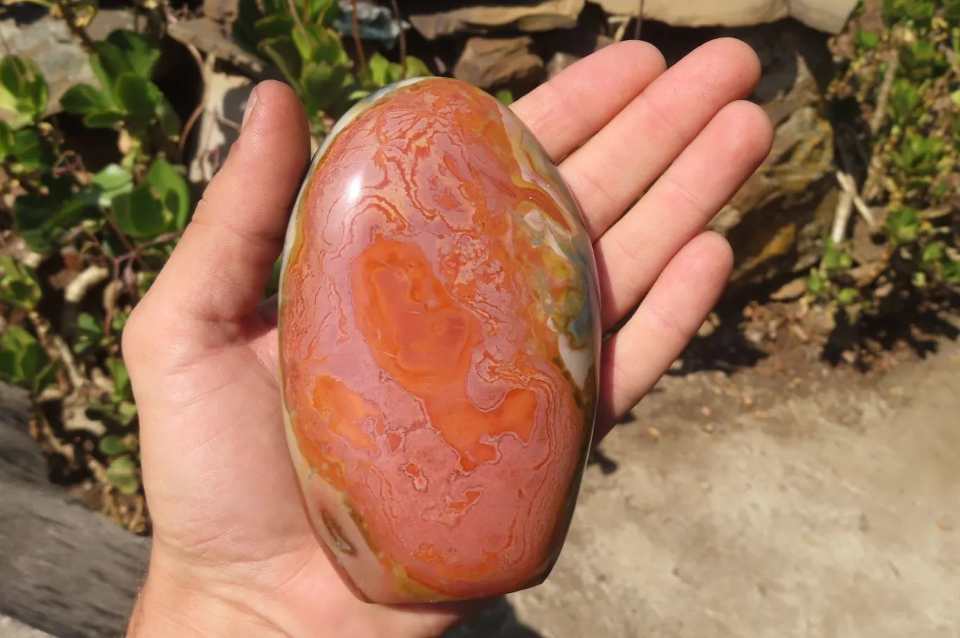 Polished Polychrome Jasper Standing Free Forms x 3 From Mahajanga, Madagascar