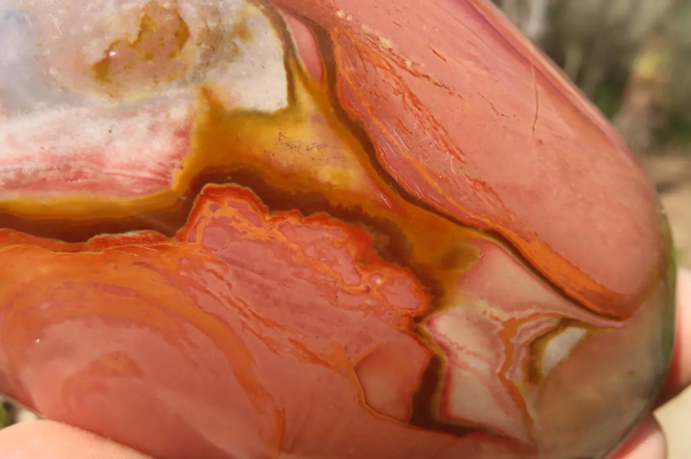 Polished Polychrome Jasper Standing Free Forms x 3 From Mahajanga, Madagascar