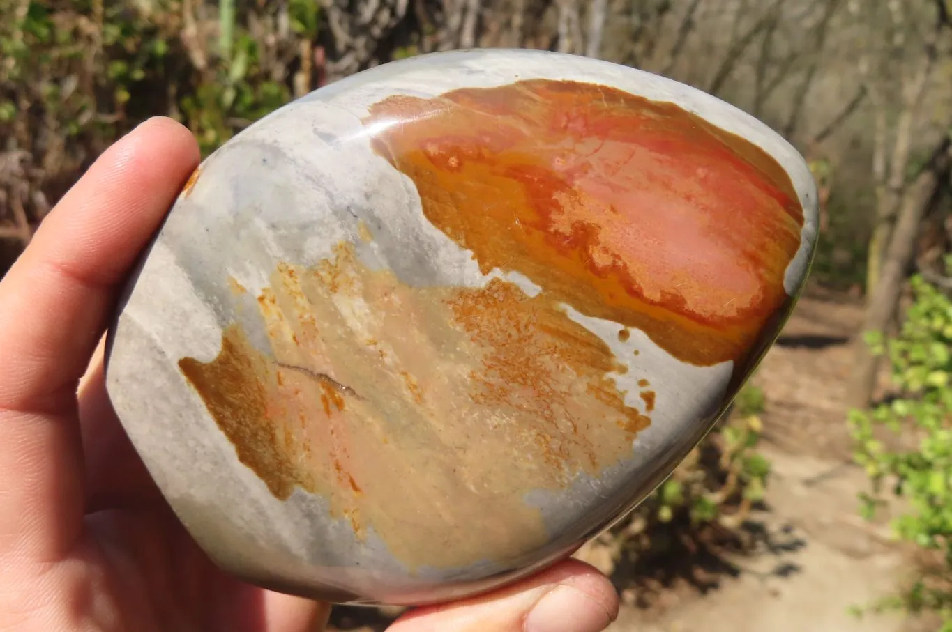 Polished Polychrome Jasper Standing Free Forms x 3 From Mahajanga, Madagascar