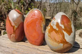 Polished Polychrome Jasper Standing Free Forms x 3 From Mahajanga, Madagascar