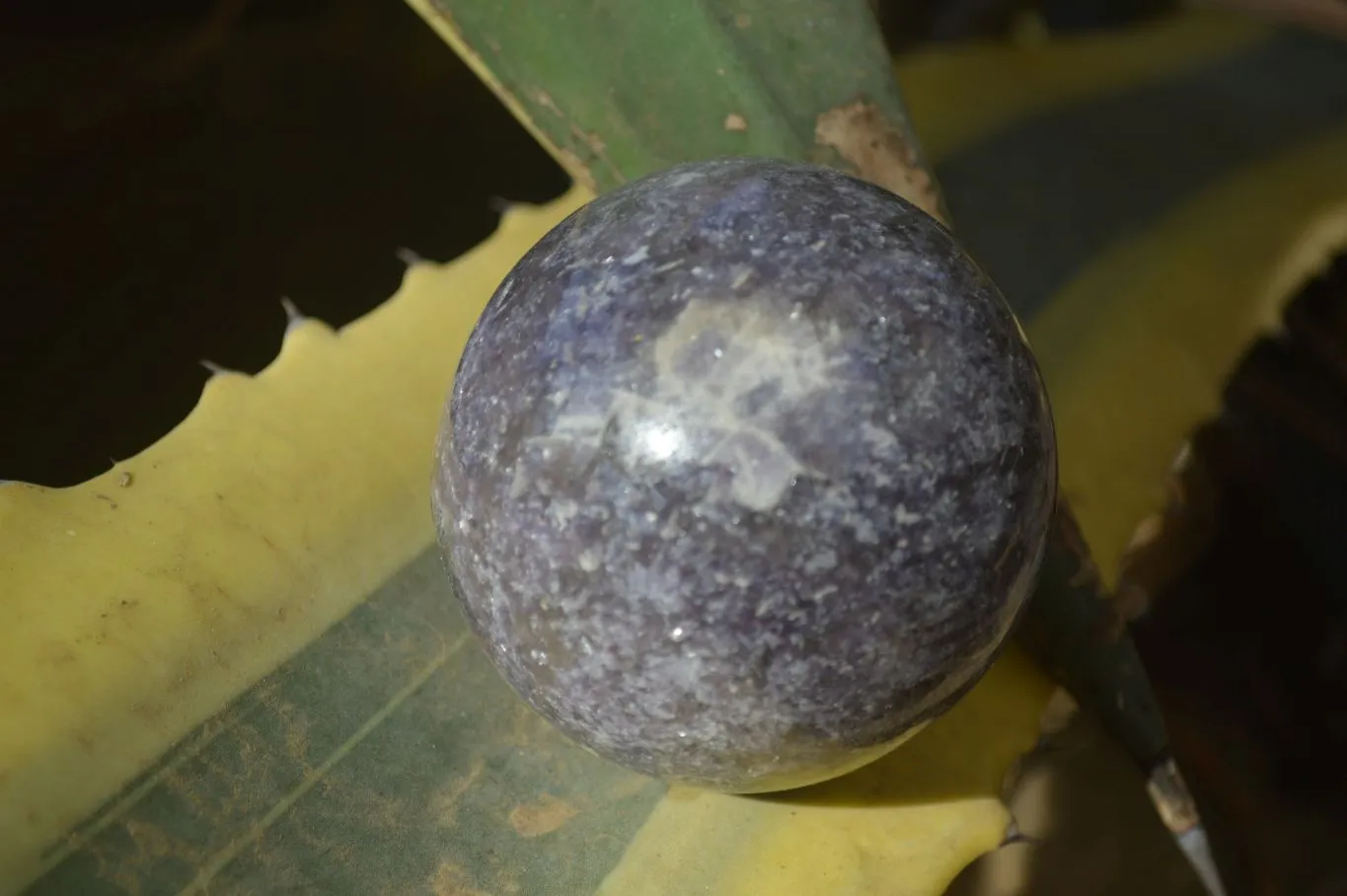 Polished Purple Lepidolite & Rubellite Spheres  x 8 From Madagascar