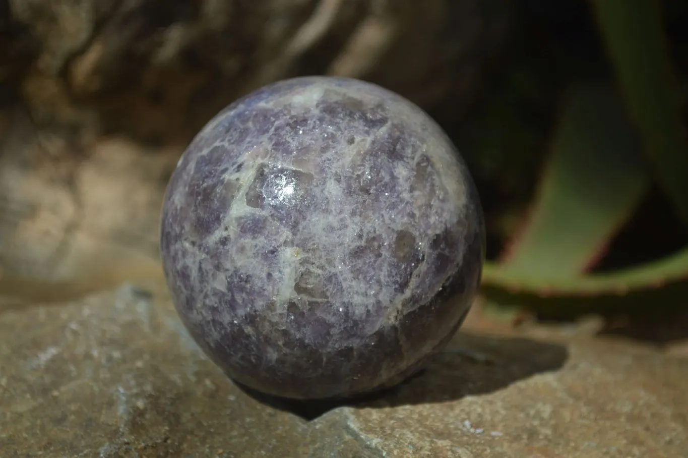 Polished Purple Lepidolite & Rubellite Spheres  x 8 From Madagascar