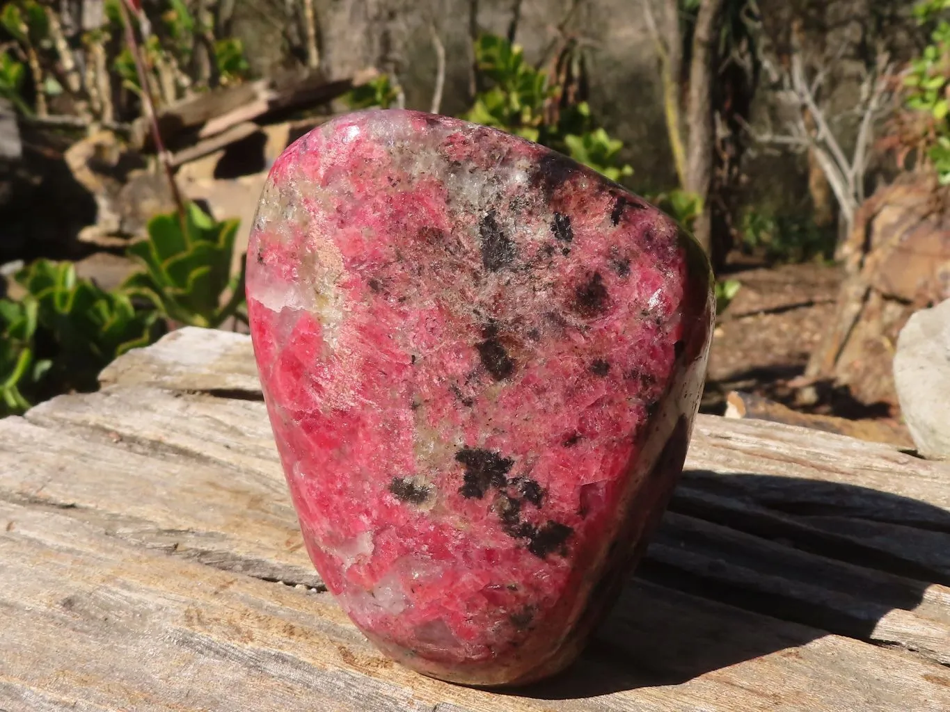 Polished Red Rhodonite Standing Free Form x 1 From Zimbabwe