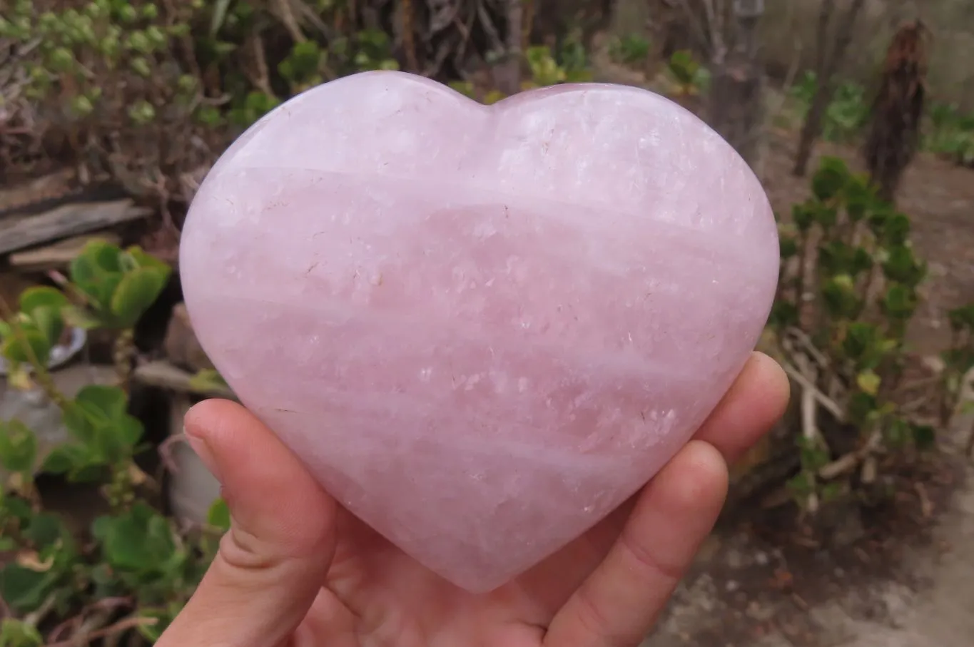 Polished Rose Quartz Hearts x 2 From Madagascar