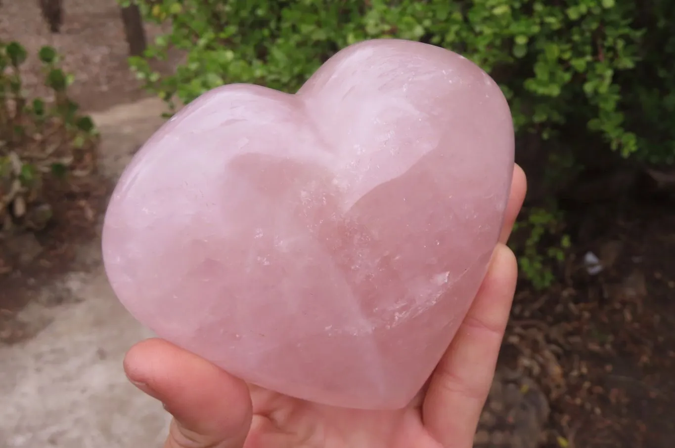 Polished Rose Quartz Hearts x 2 From Madagascar