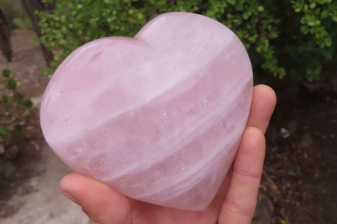 Polished Rose Quartz Hearts x 2 From Madagascar