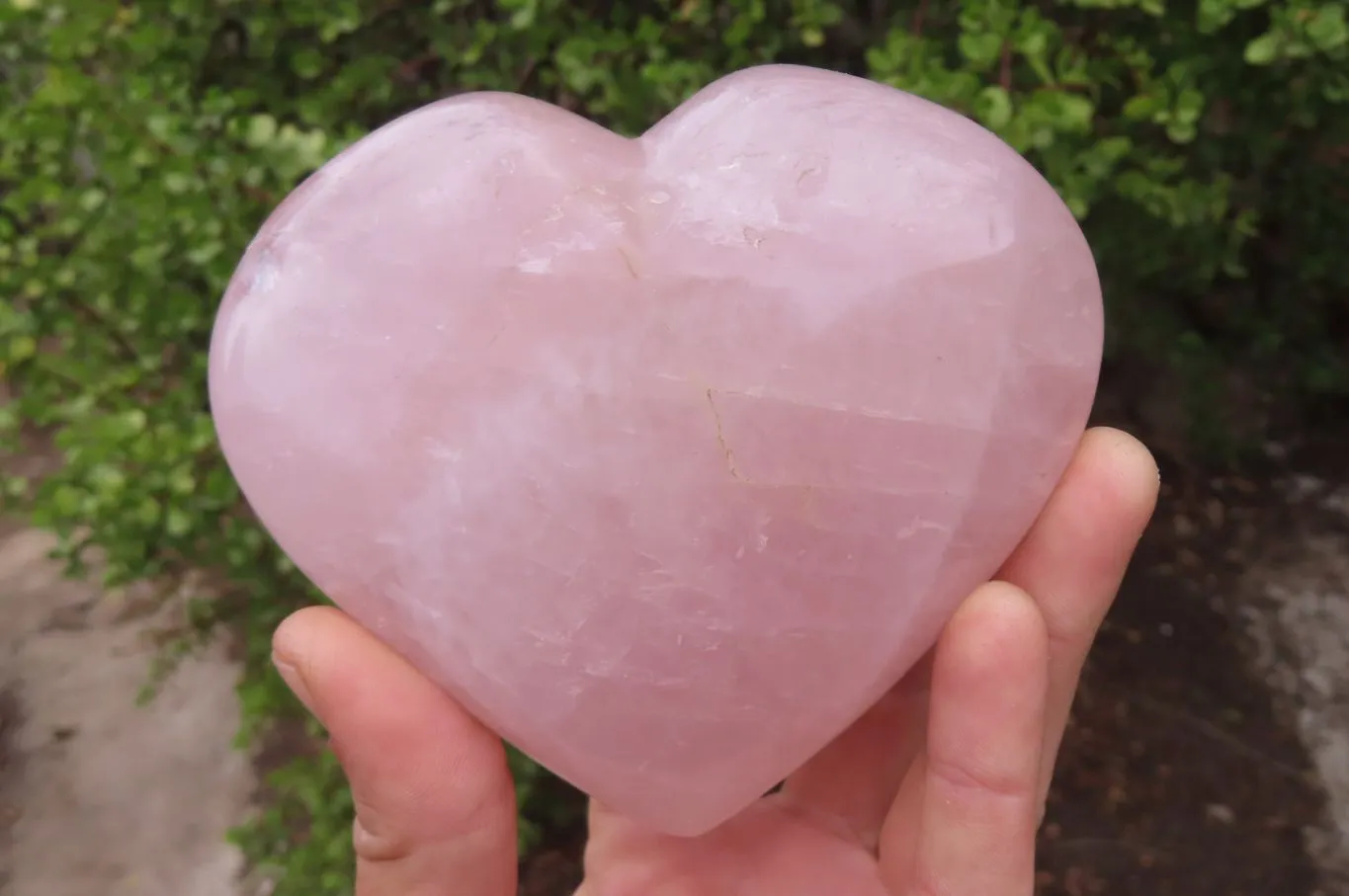 Polished Rose Quartz Hearts x 2 From Madagascar