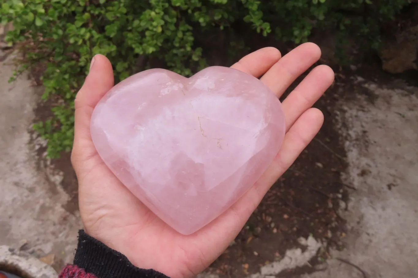 Polished Rose Quartz Hearts x 2 From Madagascar