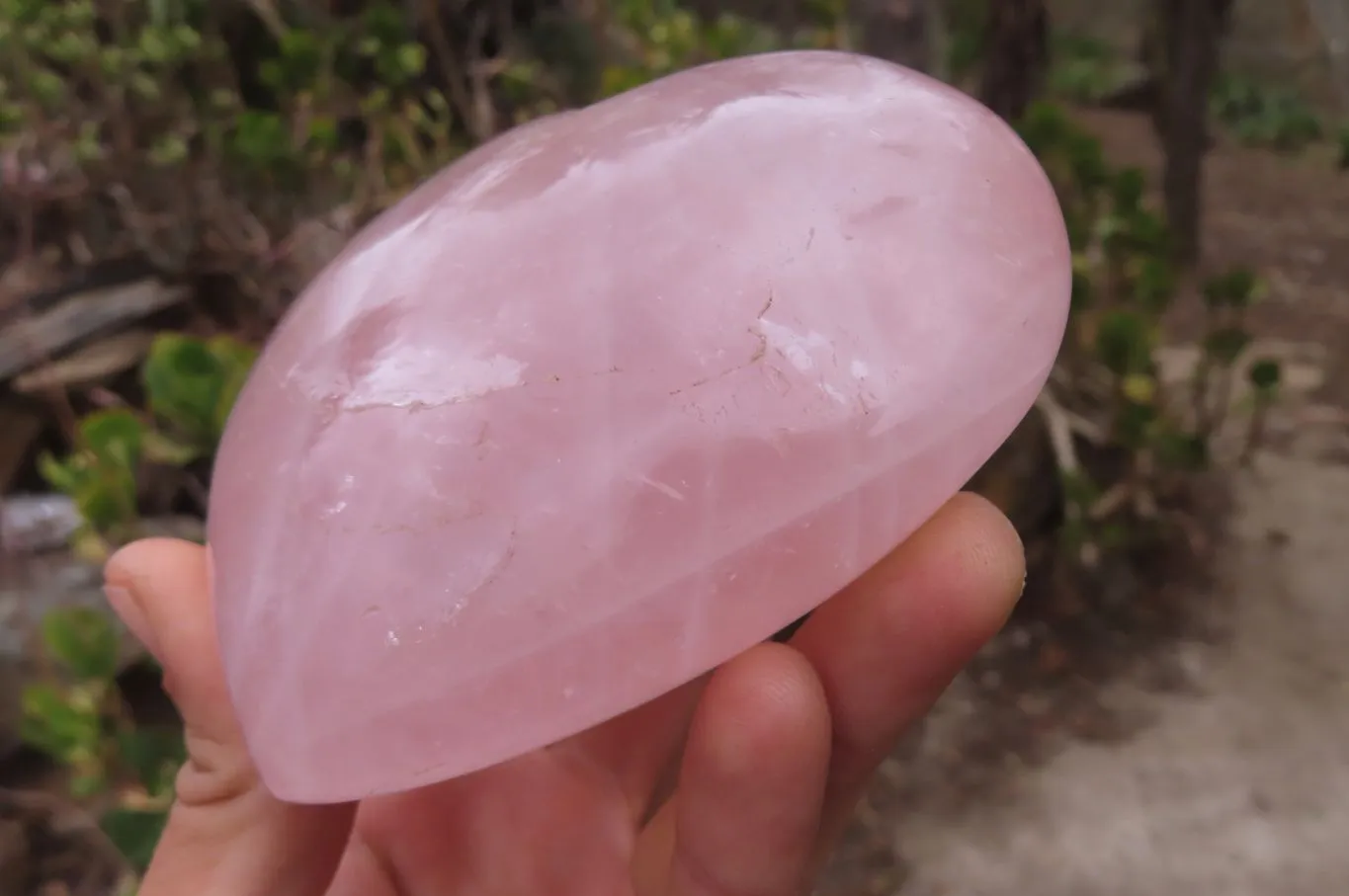 Polished Rose Quartz Hearts x 2 From Madagascar