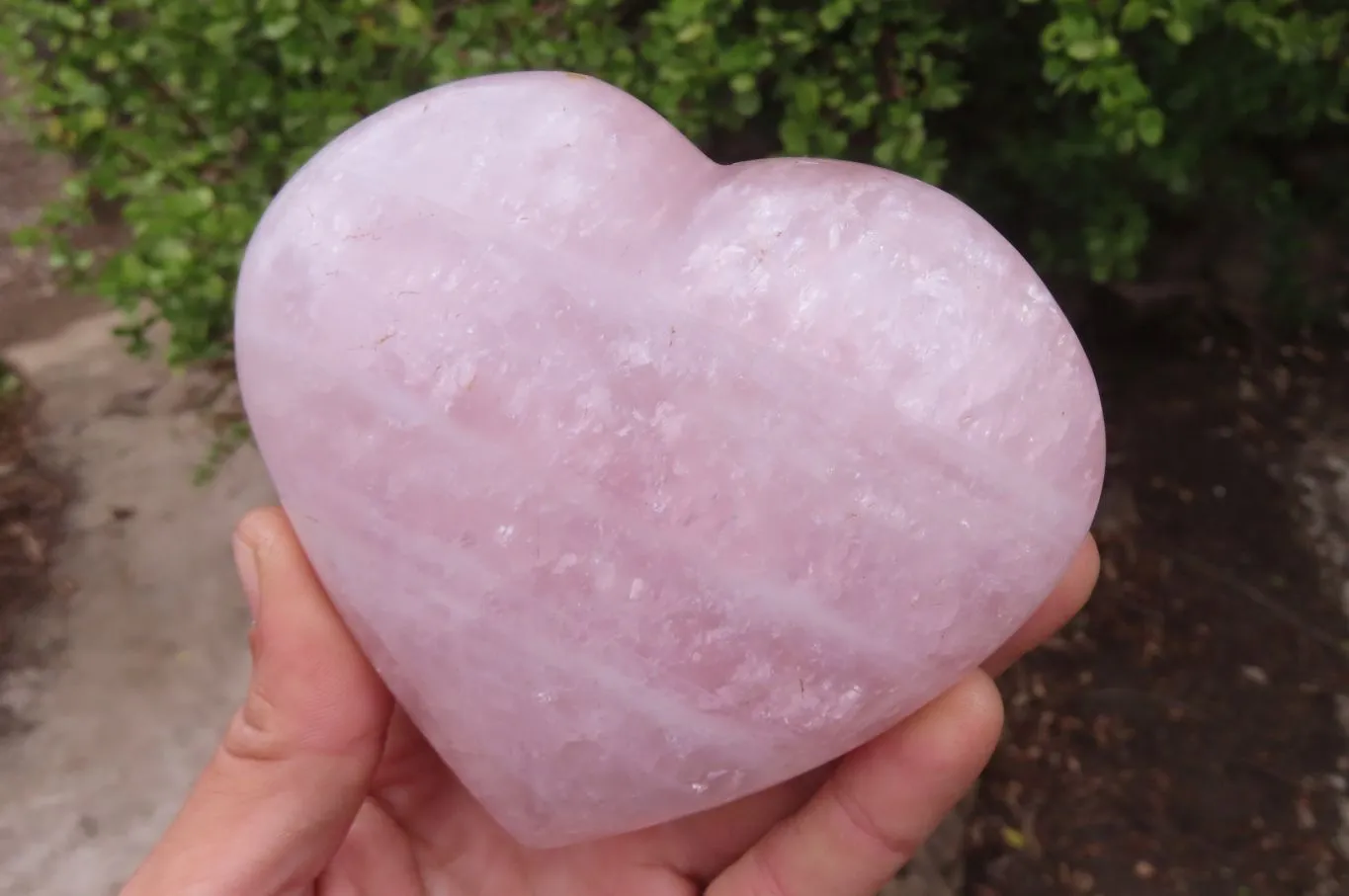 Polished Rose Quartz Hearts x 2 From Madagascar