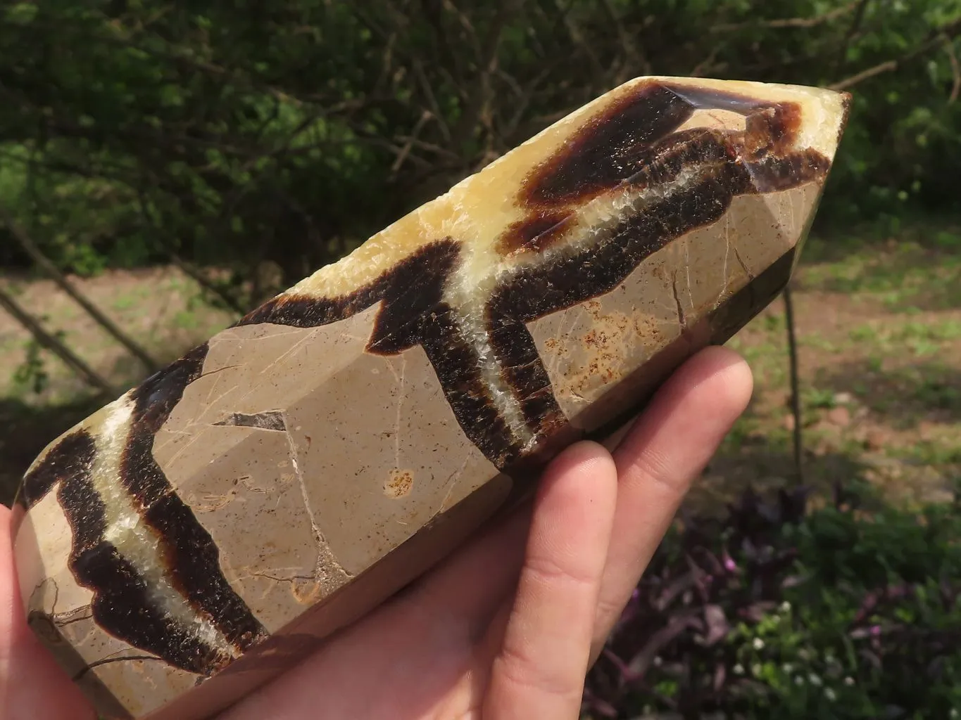 Polished Septarian Points x 2 From Madagascar